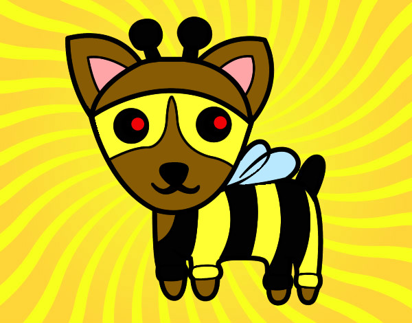 Cão-abelha