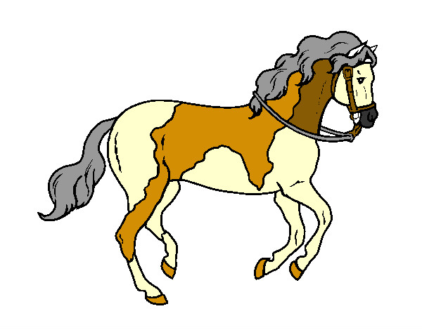 Desenho Cavalo 5 pintado por tukuruvi