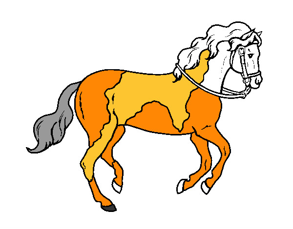 Desenho Cavalo 5 pintado por tukuruvi