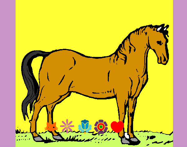 Desenho Cavalo andaluz pintado por tukuruvi
