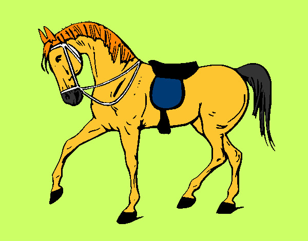 Desenho Cavalo de competição pintado por tukuruvi