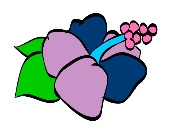 Desenho Lagunaria flor pintado por irmos