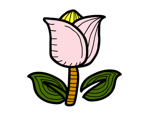 Desenho Tulipán pintado por tukuruvi