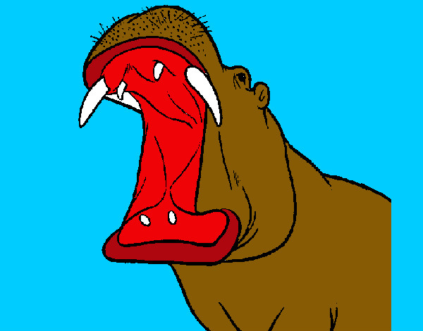 Desenho de Hipopótamo com a boca aberta para colorir - Tudodesenhos