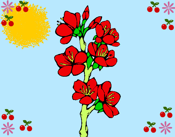 Desenho Flores de campo pintado por gloriaaaaa