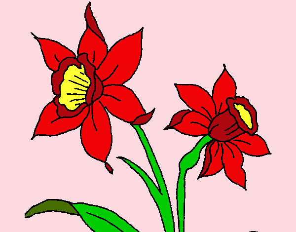 Desenho Orquídea pintado por gloriaa