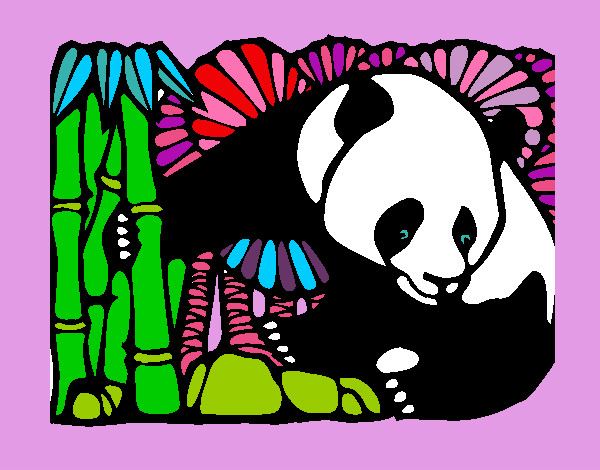 Urso panda e bambu