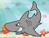 Desenho Tubarão furioso pintado por juba