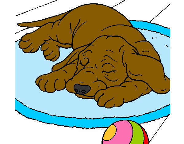 Desenho Cão a dormir pintado por nand