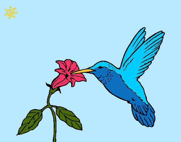 Desenho Colibri e uma flor pintado por ThiagoTG