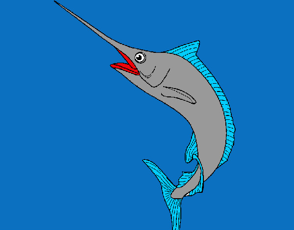 Desenho Peixe-espada pintado por barreto