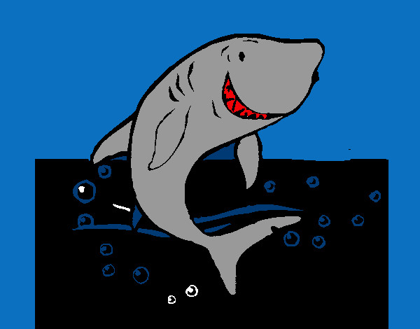 Desenho Tubarão pintado por barreto