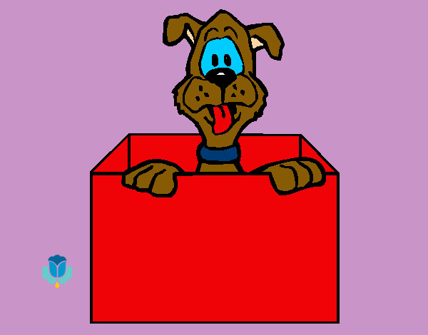 Desenho Cão dentro da caixa pintado por laviniaco