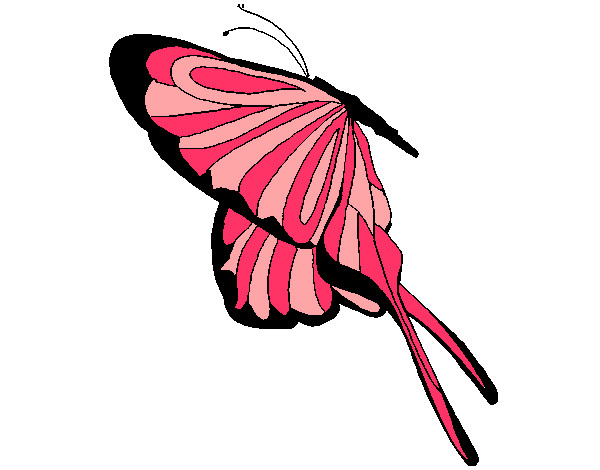 Desenho Borboleta com grandes asas pintado por gloriaa
