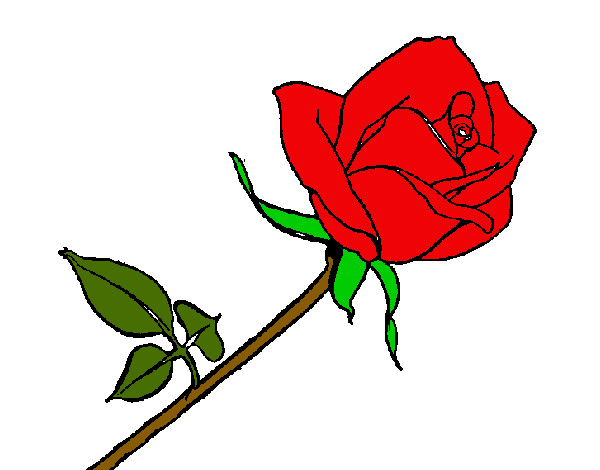 Desenho Rosa pintado por ciidinha
