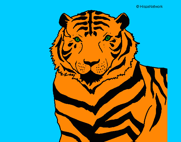 Desenho Tigre pintado por clebertrip