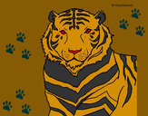 Desenho Tigre pintado por fabyanna