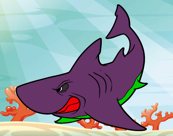 Desenho Tubarão furioso pintado por NinaPerdi