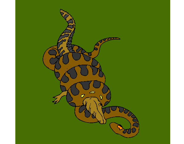 Desenho Anaconda e jacaré pintado por Luccovaldo