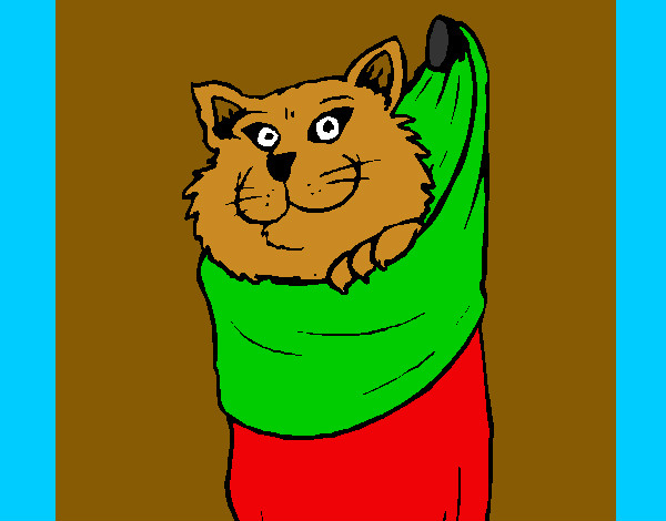 Desenho Gato dentro de uma meia pintado por Cristhin