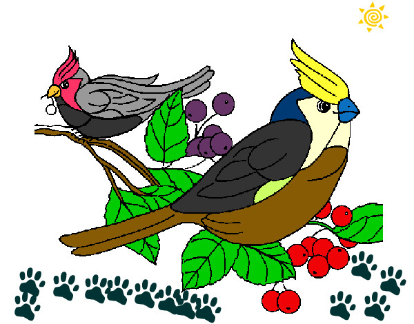 Desenho Pássaros pintado por rafalix