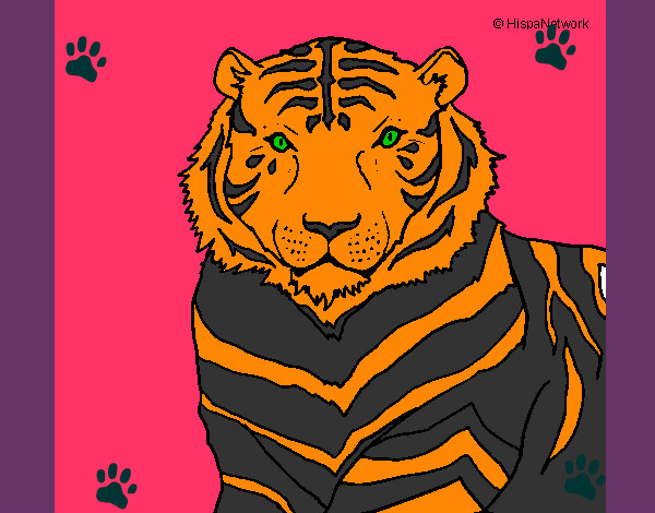 Desenho Tigre pintado por leonidas