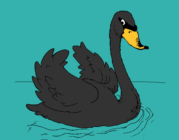 Desenho Cisne na água pintado por claudiosss