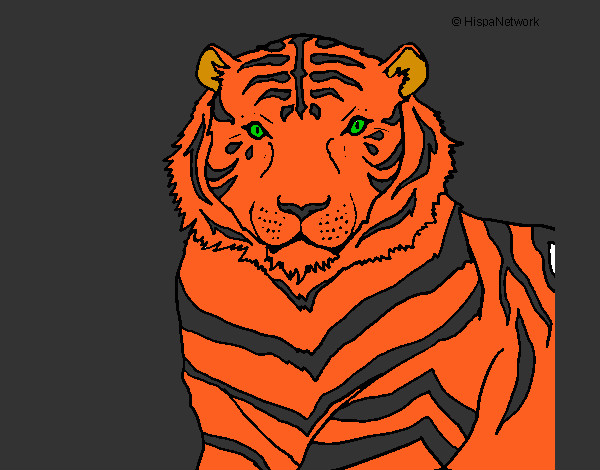 Desenho Tigre pintado por guigu