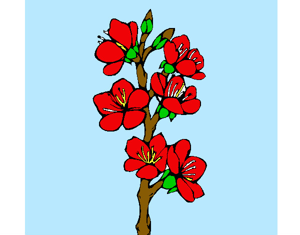 Desenho Flores de campo pintado por marcelle