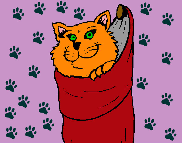Desenho Gato dentro de uma meia pintado por livita