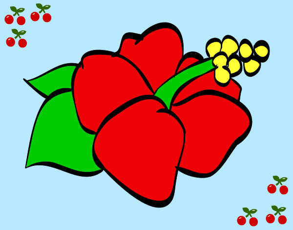 Desenho Lagunaria flor pintado por marcelle