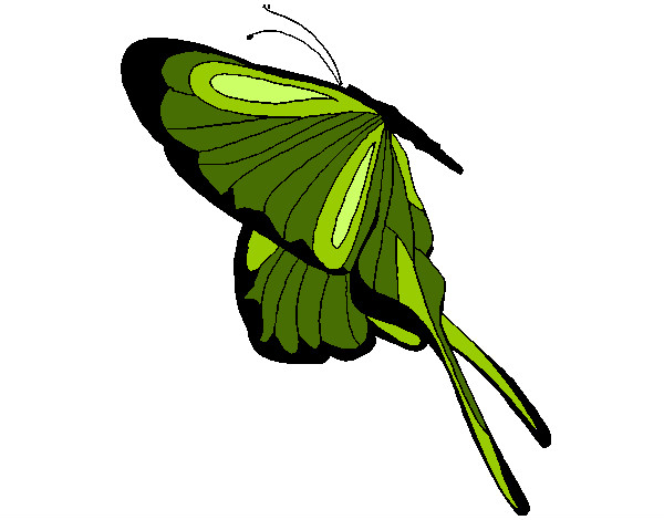 Desenho Borboleta com grandes asas pintado por Nadiavi
