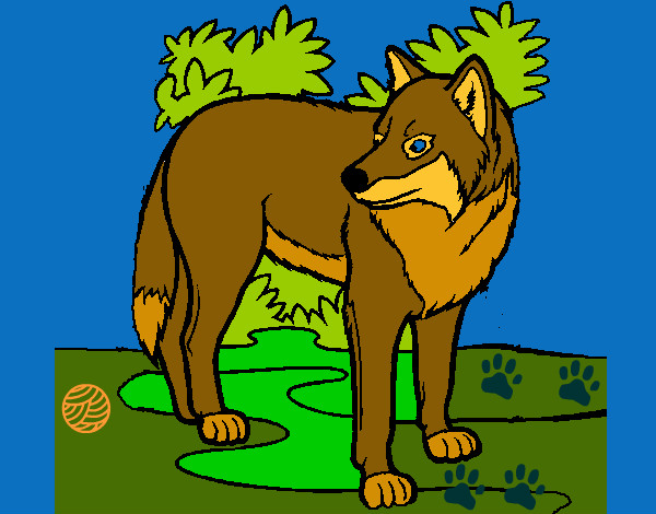 Desenho Lobo pintado por suly