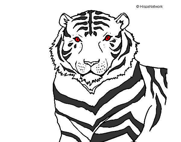 Desenho Tigre pintado por MrFelipe