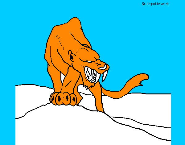 Desenho Tigre com dentes afiados pintado por MrFelipe