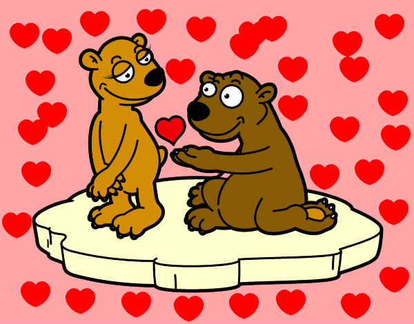 Casal de ursos apaixonados
