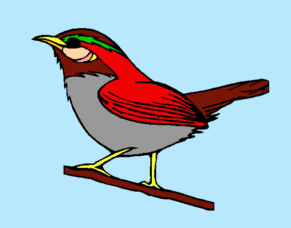 Desenho Pássaro silvestre pintado por guigu