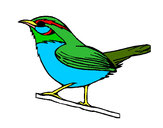 Desenho Pássaro silvestre pintado por guigu