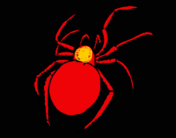 Desenho Aranha venenosa pintado por jhonatan9