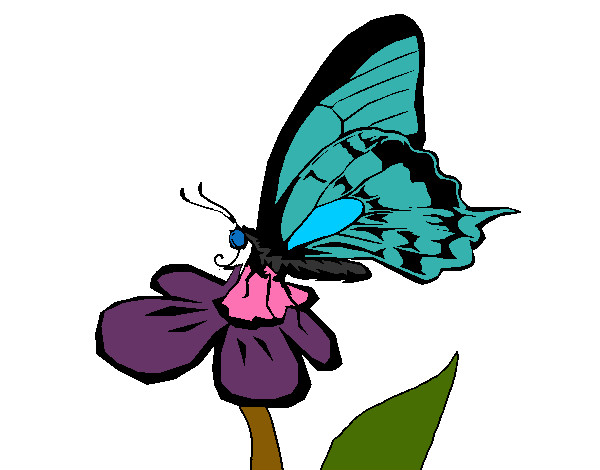 Desenho Borboleta numa flor pintado por Regiene