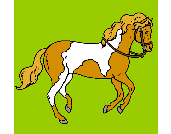 Desenho Cavalo 5 pintado por sandy1987