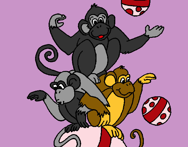 Desenho Macacos a fazer malabarismos pintado por eduardo2