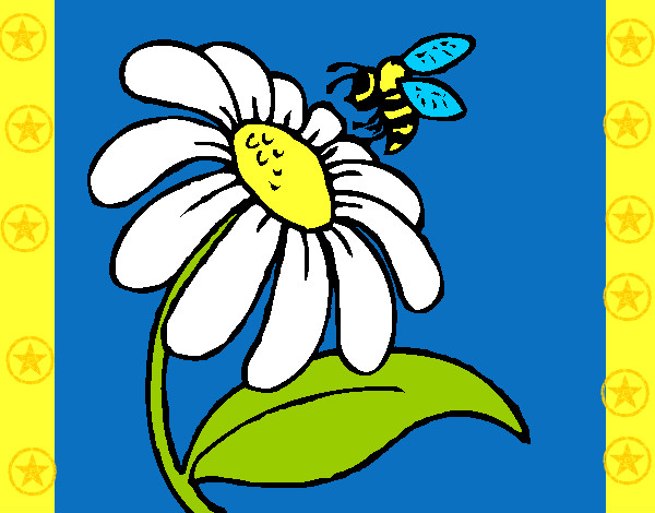 Desenho Margarida com abelha pintado por Charlene20