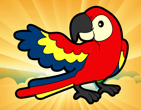 Desenho Papagaio abrir a asa pintado por gigicam