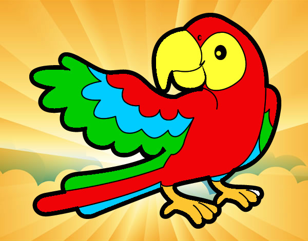 Desenho Papagaio abrir a asa pintado por sandy1987