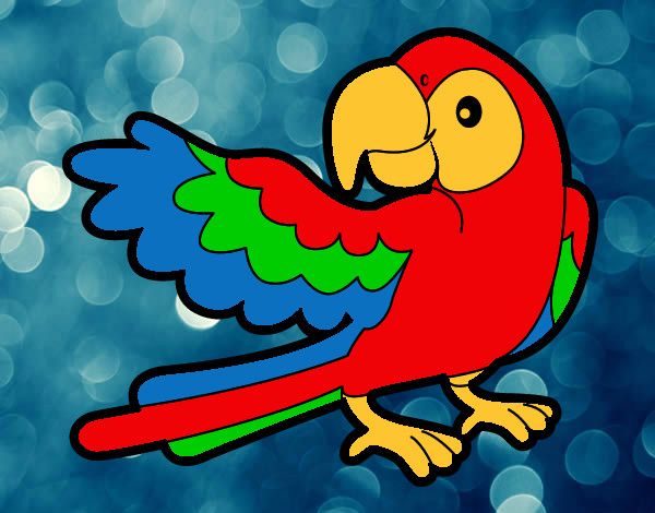 Desenho Papagaio abrir a asa pintado por zeca2002