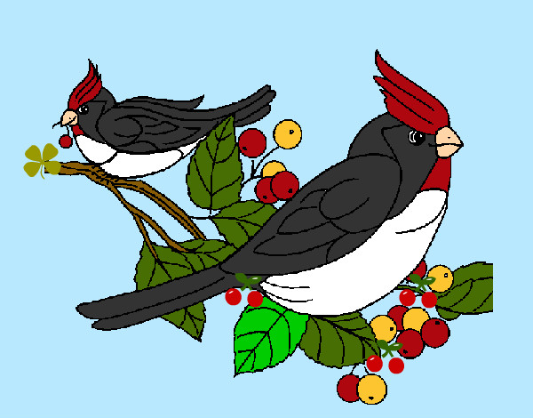 Desenho Pássaros pintado por Guilerme2