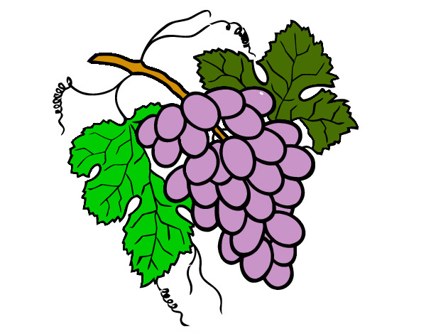 Desenho Cacho de uvas pintado por Regiene