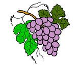 Desenho Cacho de uvas pintado por Regiene