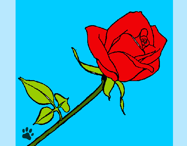 Desenho Rosa pintado por tetefa23